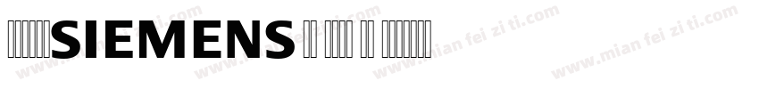 Siemens AD Mono VN R字体转换
